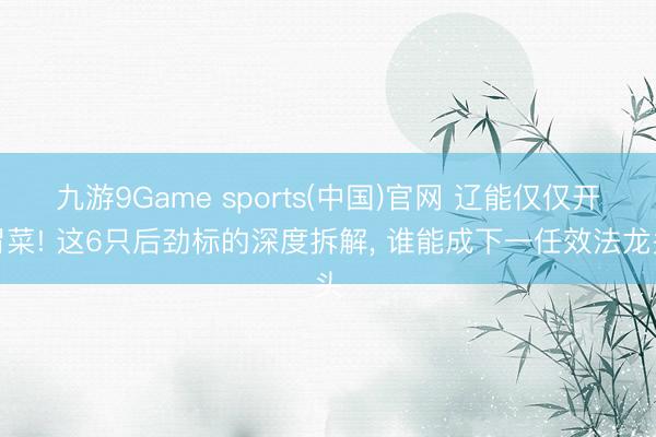 九游9Game sports(中国)官网 辽能仅仅开胃菜! 这6只后劲标的深度拆解， 谁能成下一任效法龙头