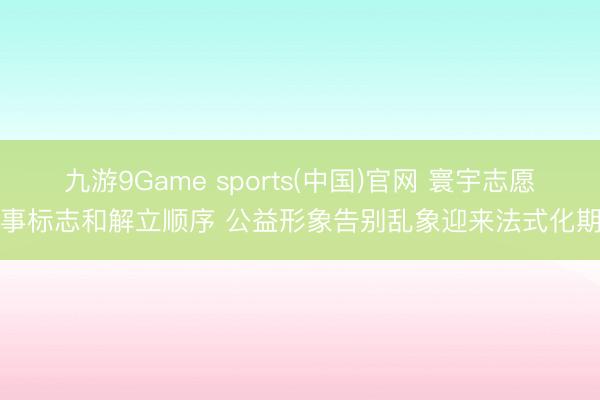 九游9Game sports(中国)官网 寰宇志愿处事标志和解立顺序 公益形象告别乱象迎来法式化期间