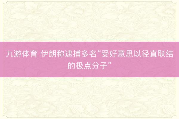 九游体育 伊朗称逮捕多名“受好意思以径直联结的极点分子”