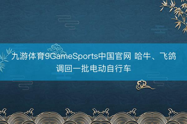 九游体育9GameSports中国官网 哈牛、飞鸽调回一批电动自行车