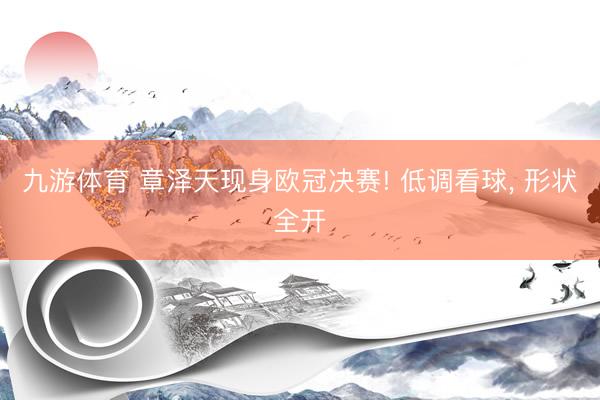 九游体育 章泽天现身欧冠决赛! 低调看球， 形状全开