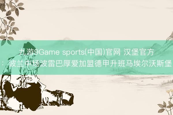 九游9Game sports(中国)官网 汉堡官方：波兰中场波雷巴厚爱加盟德甲升班马埃尔沃斯堡